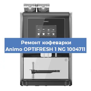 Замена прокладок на кофемашине Animo OPTIFRESH 1 NG 1004711 в Ижевске